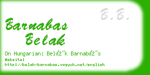 barnabas belak business card